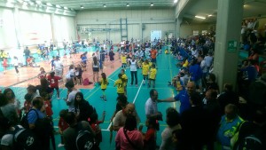 IMAG9194