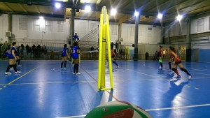 IMAG1205