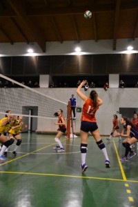 IMG-20170119-WA0014