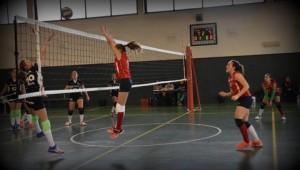 IMG-20170122-WA0006