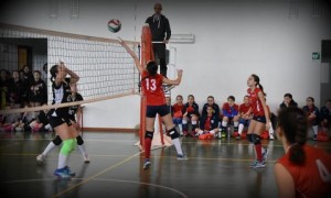 IMG-20170122-WA0014