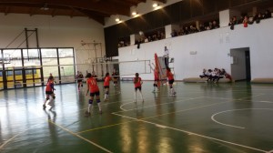 IMG-20170123-WA0002