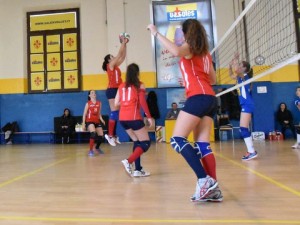 IMG-20170129-WA0041