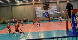 IMG-20170206-WA0022