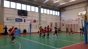 IMG-20170212-WA0003