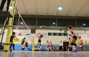 IMG-20170212-WA0011