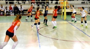 IMG-20170214-WA0007