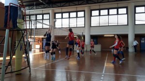 IMG-20170409-WA0005