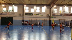 IMG-20171029-WA0008
