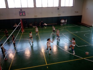 IMG-20171119-WA0012