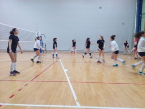 IMG-20181230-WA0010