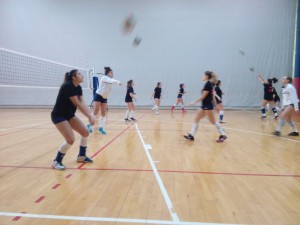 IMG-20181230-WA0012