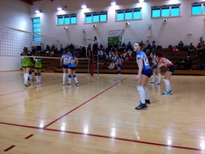 IMG-20181230-WA0016