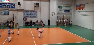 IMG-20190117-WA0004