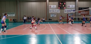 IMG-20190215-WA0007