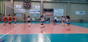 IMG-20190216-WA0010