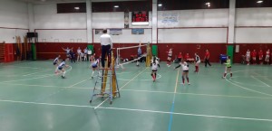 IMG-20190228-WA0000