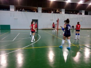 IMG-20190310-WA0005