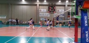 IMG-20190329-WA0003