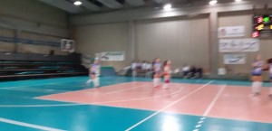 IMG-20190329-WA0005