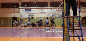 IMG-20190502-WA0003