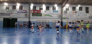 IMG-20190524-WA0002