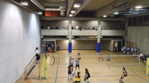 IMG-20191004-WA0002