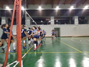 IMG-20191010-WA0002