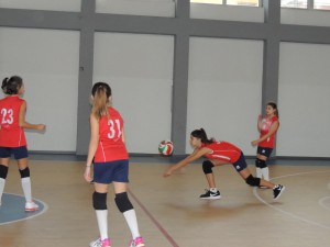 IMG-20191111-WA0003