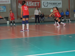 IMG-20191117-WA0013