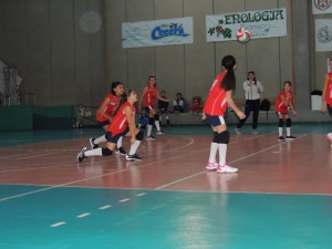 IMG-20191117-WA0017