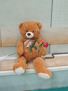 IMG-20191124-WA0017