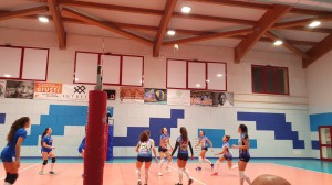 IMG-20191208-WA0029