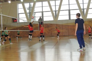 IMG-20200119-WA0001