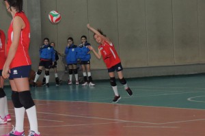 IMG-20200223-WA0008