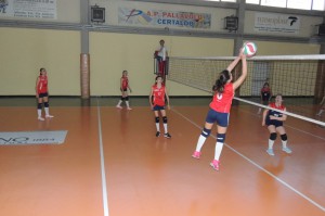 IMG-20210530-WA0015