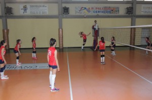 IMG-20210530-WA0016